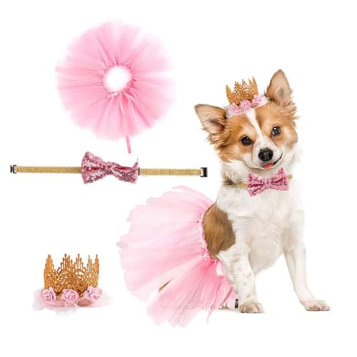 HOMOBABE pXJ[gƃlN^CƃNEZbg ybg apK[[fUC Uʐ^Be ^