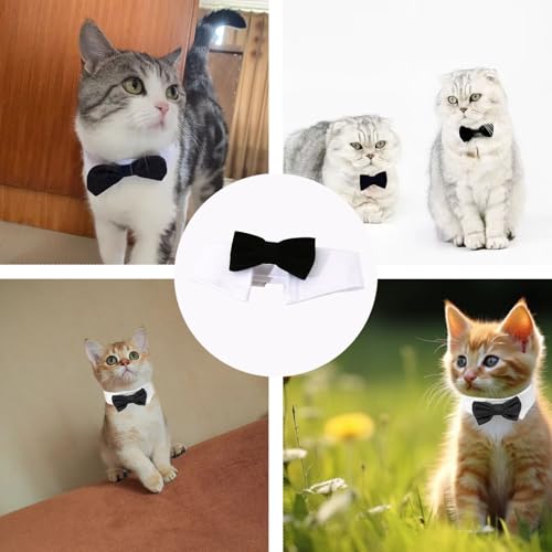 Fliege Hund,Fliege für Hund Hochzeit,Hundefliege,Hunde Fliege Hochzeit,Formelle Hundehalsband,Verstellbares Halsband Halsketten für kleine Hunde bei Hochzeitsfeiern und Geburtstagsfeiern Schwarz (S)