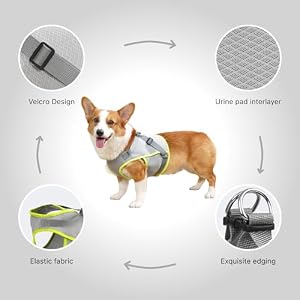 Dog Harness for Small and Medium, Comfortble Mesh Ruffwear Harness with Dual Buckles, Dog Cooling Vest, No-Pull for Dog Outdoor Walks (Green, M) Dog Harness for Small and Medium, Comfortble Mesh Ruffwear Harness with Dual Buckles, Dog Cooling Vest, No-Pull for Dog Outdoor Walks (Green, M)
