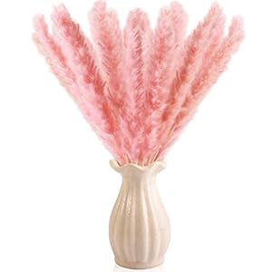 Dry Pampas Grass Natural Dried Bundle for Home Decor 20pcs (Pink)