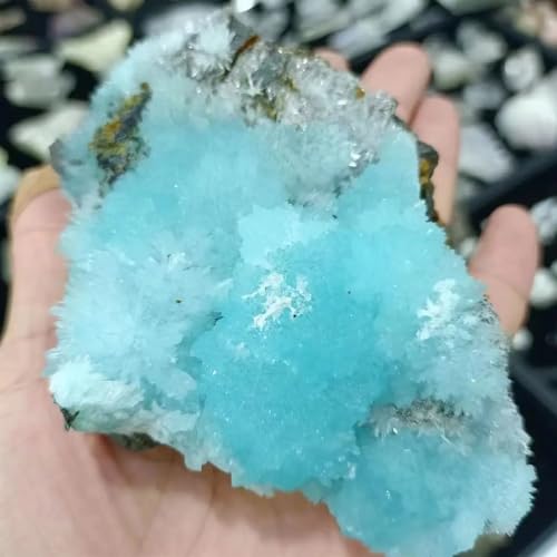 Aragonite Bleue pour Lithothérapie : Grand Format Géode 610g-700g - 4