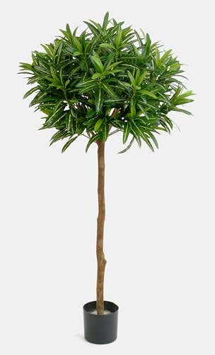 Altezza complessiva ca. 150 cm inclusa base cementata in vaso 15 x 15 cm