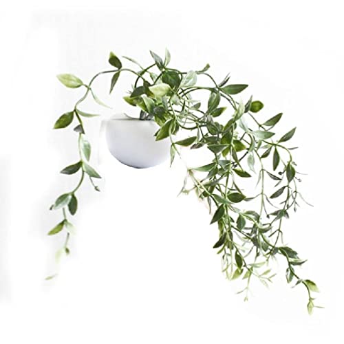 Yunso Simulation Pflanze Kühlschrankmagnete,Mini Bonsai Sukkulenten Dekorative Magnet,Für Trockenlöschbrett, Schränke, Whiteboards, Fotos, Hinweis,Wohnkultur,Geschenke Für Erwachsene Kinder