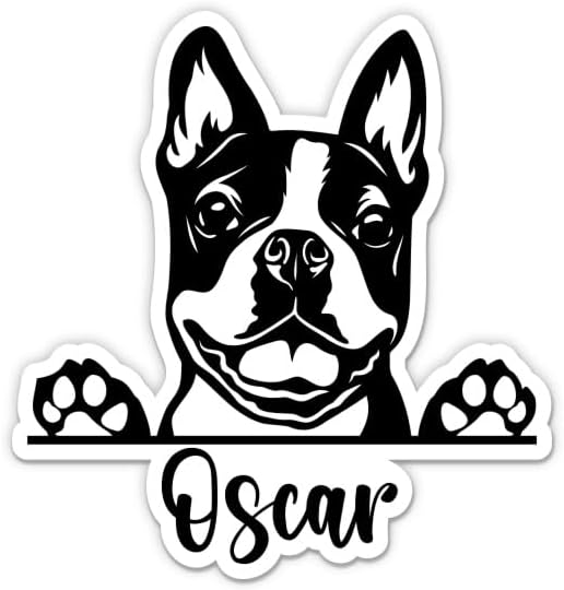 Boston Terrier Sticker - Custom Dog Name Vinyl Sticker - Personalized for Car Water Bottle Laptop - Custom Size