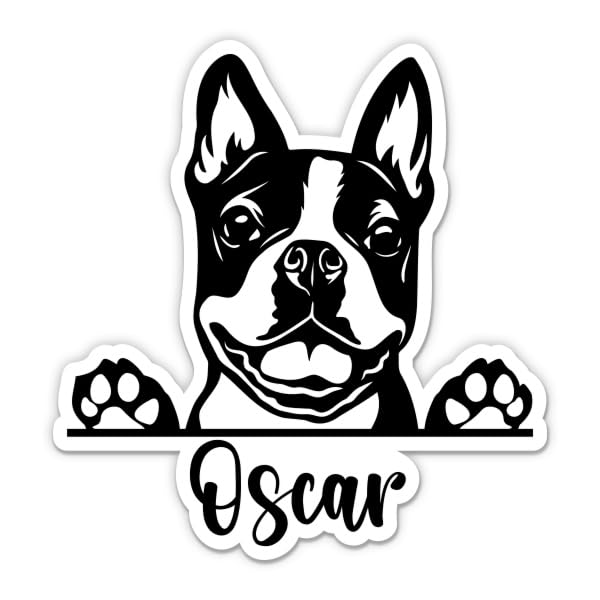 Boston Terrier Sticker - Custom Dog Name Vinyl Sticker - Personalized for Car Water Bottle Laptop - Custom Size