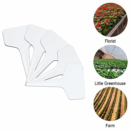 The 30 Best Plant Labels of 2024 [Verified] Cherry Picks