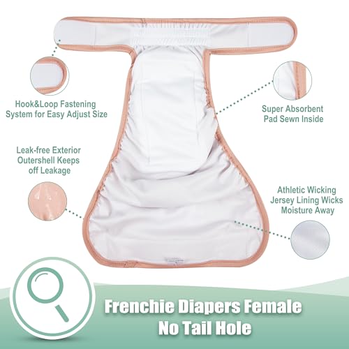 Image of wegreeco Frenchie Dog Diapers Female No Tail Hole, Washable Pet French Puppy Bulldog Diapers Female for Period Heat, Reusable Doggy Doggie Dog Diapers (X-Large)