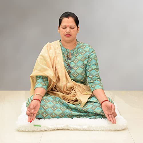 Image of NEXTGO Floor Seat Cushions Yoga Meditation Mat Pooja aasan Soft Extra Comfortable Feather Touch Last Long upto washable material Size 24 x 30 Inch 2 x 2.5 Fit Color White
