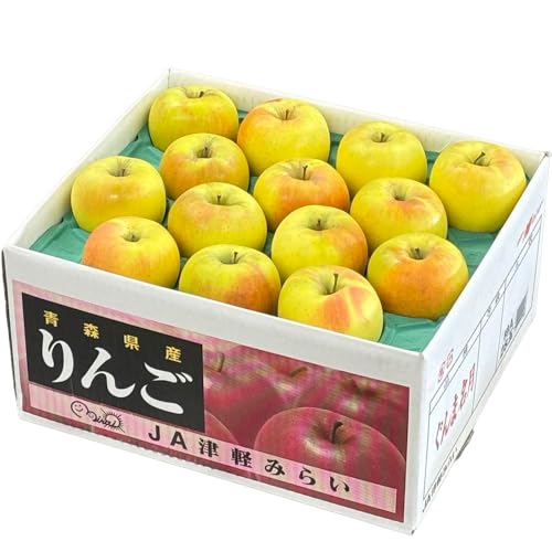  ܖ 󂠂 ̂ 傫܂ 10kg XY ь S Mtg