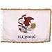 Super Tough Illinois State Indoor 3ft x 5ft, Flagpole, Base & Tassel | Indoor Flag with Gold Fringe & Pole Kit | Aluminum Brass Finish Flagpole, Shiny Gold | Spear Plastic- 7 ft Pole