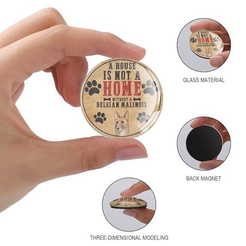 Aimants de réfrigérateur Malinois en verre de qualité - 3