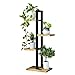 Multicouche Plancher Debout Fer Forgé Étagère Fleur 4ème Étage Étagère À Pot en Bois Étagère De Rangement Extérieur Intérieur (Color : Black)
