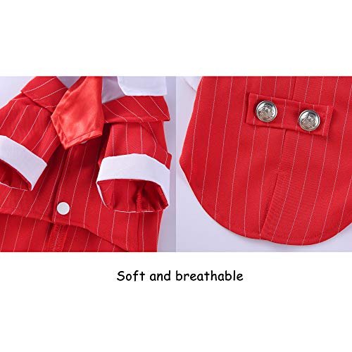 Disfraz Formal para Perro Polo con Corbatín Rojo S miniatura 4