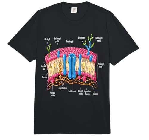 Cell Membrane Structure Biology Science Education Men Women Comfort Colors Adult Heavyweight T-Shirt