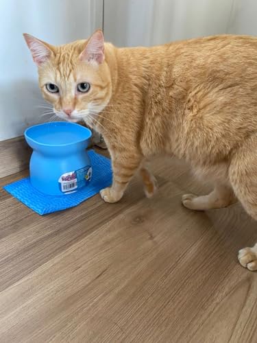 PET GAMES – Comedouro ou Bebedouro Funcional, Elevado, com Design Elegante e Qualidade Premium para