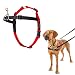 The Company of Animals - HALTI Training Harness - Durable and Adjustable - Comfortable Padded fit - Large - Black & Red