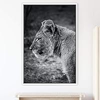 Framed Canvas Wall Art Duotone Lion Animals Black and White Bohemian Duotone Elephants Expressive Grey Living Room Photography - 16x24 inches