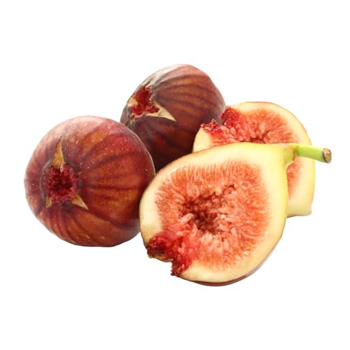 [先行受付][2026年9月〜10月頃順次発送]福岡県オリジナル品種 高糖度プレミアムいちじく 「とよみつひめ」約1.2kg[配送不可:北海道・沖縄・離島]