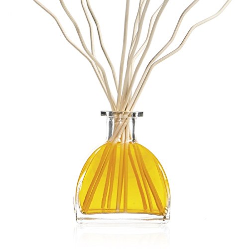 Goa - Goatier Origin Cedar & Vanilla