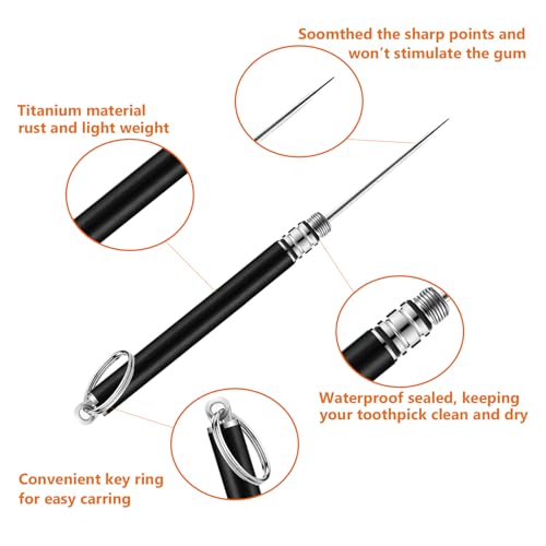 Image of Portable Mini Titanium Toothpicks Holder, 2 Pieces Stainless Steel Metal Toothpicks Holder Reusable Toothpick Holder for Home Outdoor(Black)