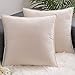 AHAHA Lot de 2 Housse Coussin en Velours Décoratif Canapé Taie d'oreiller 40X40CM Beige