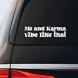 Me and Karma Vibe Like That Swift Lyrics Sticker Decal Notebook Car Laptop 8'x2' (White)