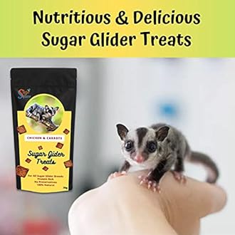 Sage Square Chicken & Carrot Sugar Glider Treat, Crunchy Protein Rich Snack (30g)