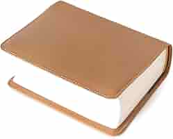 送料無料　聖書カバー　小型用　高級牛革　ベーシック　茶×茶 新価格)本革聖書カバー 巻き型 中型用B6 MV22BC8 （51730