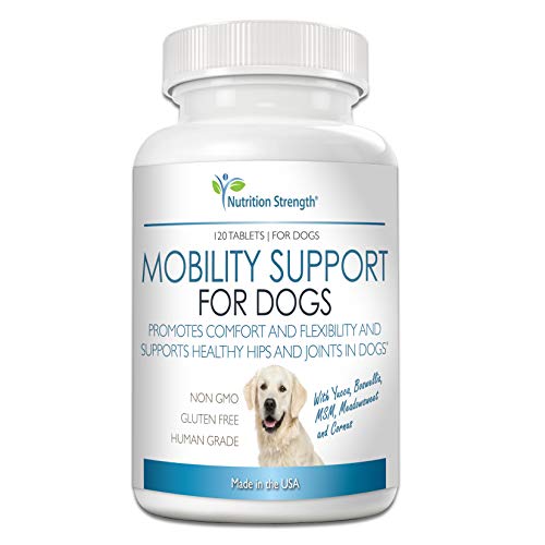 Nutrition Strength Pain Relief for Dogs Supplement, Anti Inflammatory for Dogs in Pain
