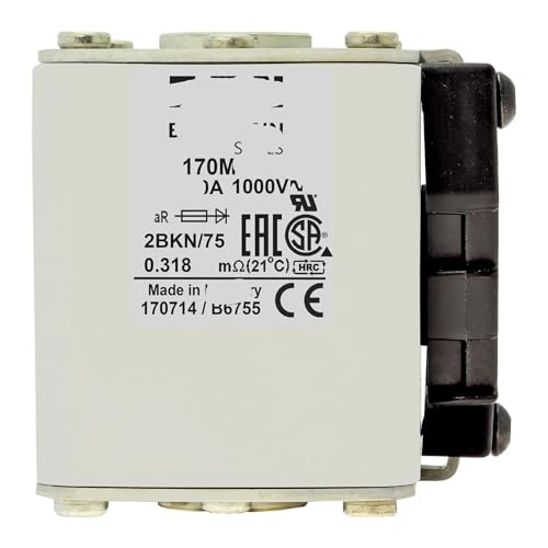 Fusible 170M5926 cube à extrémité plate assurant une coupure rapide contre les surcharges