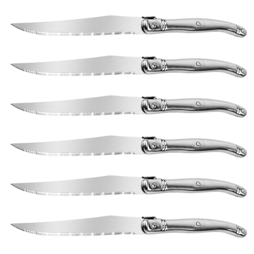 FSYGlory Steak knives, sharp, lightweight, luxurious, safe, dishwasher-safe, set of 6 pieces in stainless steel, with included gift box