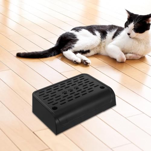 Rampette de litière pour chat entrée pratique salon propre