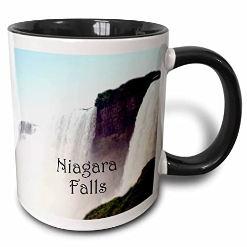 3dRose Niagara Falls - B 11oz Two-Tone Black Mug