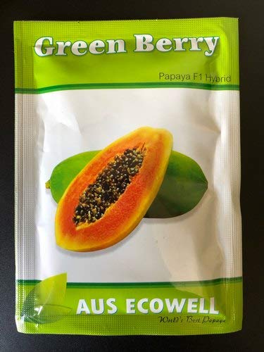 greenberry papaya hybrid ecosynk 2 gram seeds (B0879LDNKJ) Amazon Price History, Amazon Price Tracker