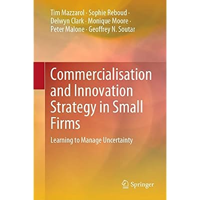 Commercialisation and Innovation Strategy in Small Firms: Learning to Manage Uncertainty