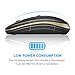 Bluetooth Mouse, Jelly Comb MS003 Slim Dual Mode(Bluetooth 4.0 + USB) 2.4GHz Wireless Bluetooth Mouse for Laptop, iPad, MacBook, PC- For Windows 8.0/ MacOS 10.10/ iPad OS 13/ Android 4.3 or Above