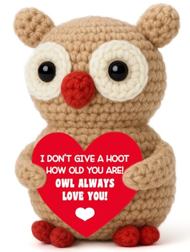 Hweijm Owl Crochet Birthday Gift, Handmade Mini Owl with Heart