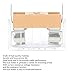 20PCS Holder,Mini Fusehold Case, Assortment Tool Mounting,with Transparent Cover,for 5 * 20