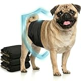 HUND IST KÖNIG Hundewindeln für Rüden [3 STK] Saugstarke Hundewindeln Rüde | Bequeme Hunde Windeln bei Inkontinenz Hund - Umweltfreundliche Rüdenwindel waschbar | Hundewindel leicht zu reinigen