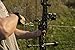 Tru-Fire Edge Buckle Foldback Adjustable Archery Compound Bow Release - Black Wrist Strap with Foldback Design