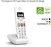 Gigaset E290 - Teléfono Fijo Inalámbrico con Teclas Grandes y Pantalla de...