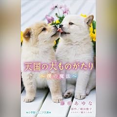 天国の犬ものがたり～僕の魔法～（小学館ジュニア文庫） Audiobook By 著/藤咲 あゆな, 原作/堀田 敦子 cover art