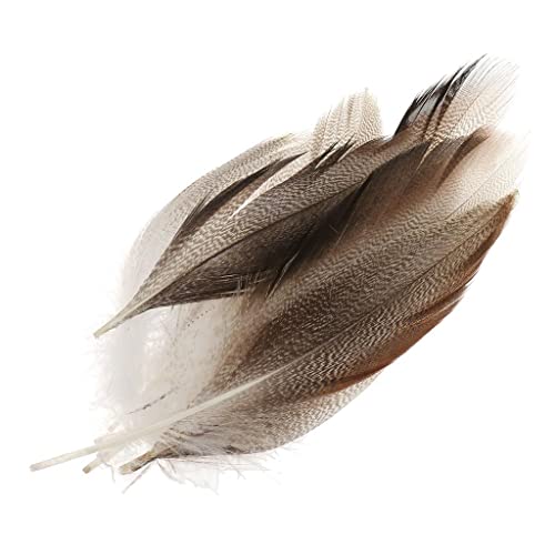 Jili Online 100Pieces Mallard Duck Feathers Beautiful Feather 5-8Cm For Wedding Party Decoration Hats Costume Diy Crafts #TOP6