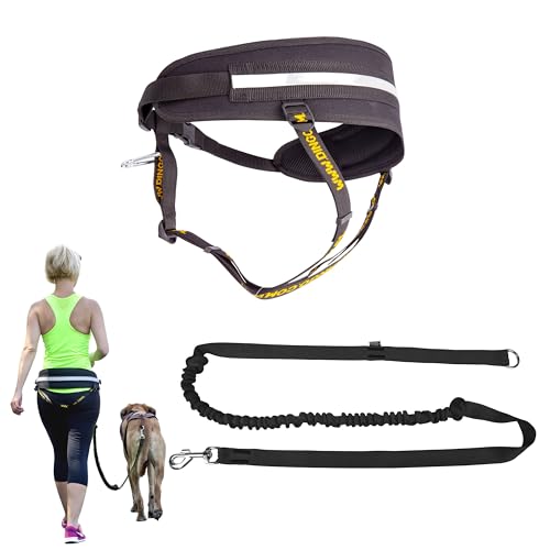 Premium Hundeleine zum Laufen Spazieren, Dual Griffe Joggingleine mit Reflektierende Nähte und kotbeutelspender, Hundeführleine mit verstellbar für große Hunde geeignet,Freihändig und Stoßdämpfende 5 Dingo Multifunktions Lauf-Gürtel+Hundeleine mit Griff Karabiner Leine mit Ruckdämpfer Schwarz Canicross zum Joggen mit dem Hund Dogtrekking,Skijöring Z30004