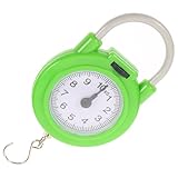 TEHAUX Tragbare Gepäckwaage Manuelle Federwaage Kleine Präzise Waage mit Haken für Koffer und Expresslieferung