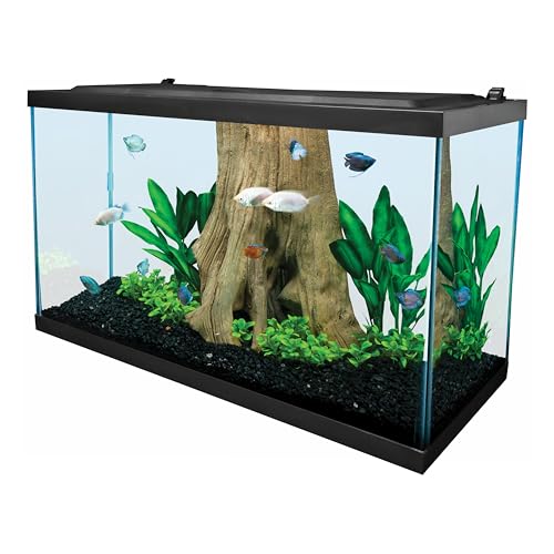 Image of Tetra Glass Aquarium 29 Gallons, Rectangular Fish Tank, Assorted Color