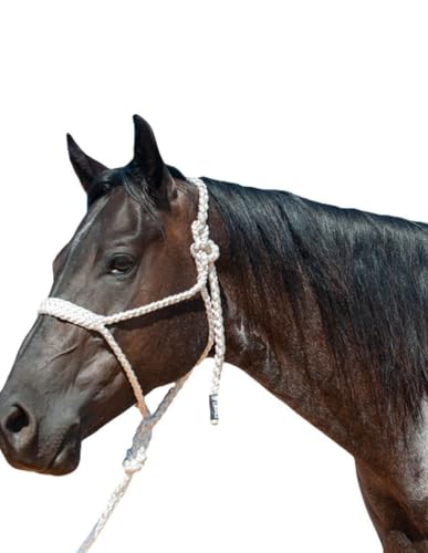 Cashel Flat Braid Halter and Leadrope, White