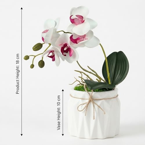 Image of Dekorly Artificial Lavender Plant in White Pot, 18cm - Realistic Faux Flower Arrangement for Home & Office Decor (Set of 1) (1, White Orchid)