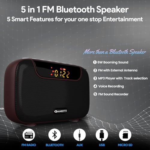 Amkette Pocket Blast 5 in 1 FM Radio with Bluetooth, Powerful Sound, Voice & FM Recording, External Antenna, 7+ Hours Playback, MP3 Player with Number Pad (AUX, SD Card, USB Input) (Brown) view 2
