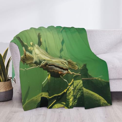 Couverture flanelle poisson-chat pour vos soirées cocooning canapé - 5